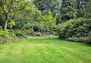 Optimiser l'expérience du jardin à Villeneuve-sur-Fere